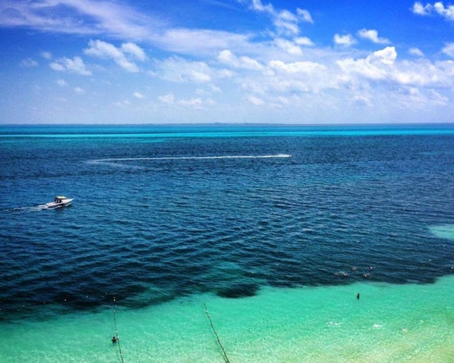 Ven a pescar con ecoturismocancun